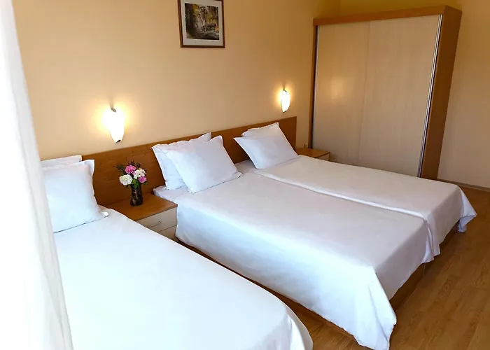 Palma Золотые Пески